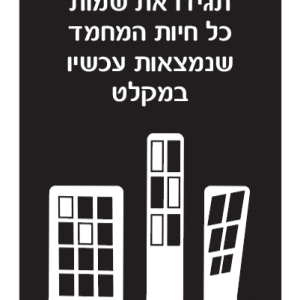 נפגשים במקלט - קלפי שאלות והיכרות עם השכנים במקלט | ניתן באהבה